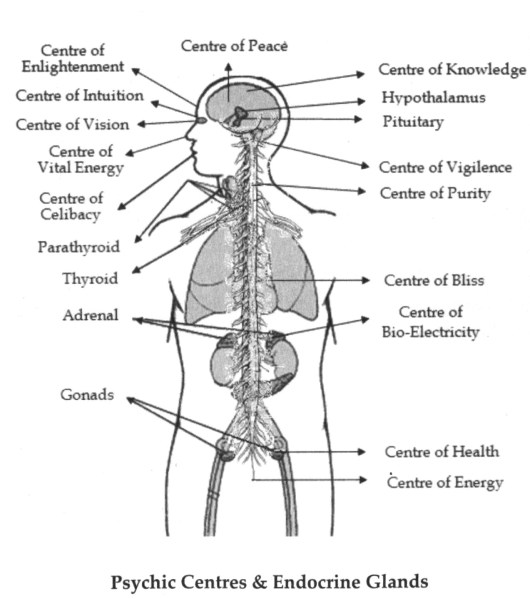 Psychic_Centres